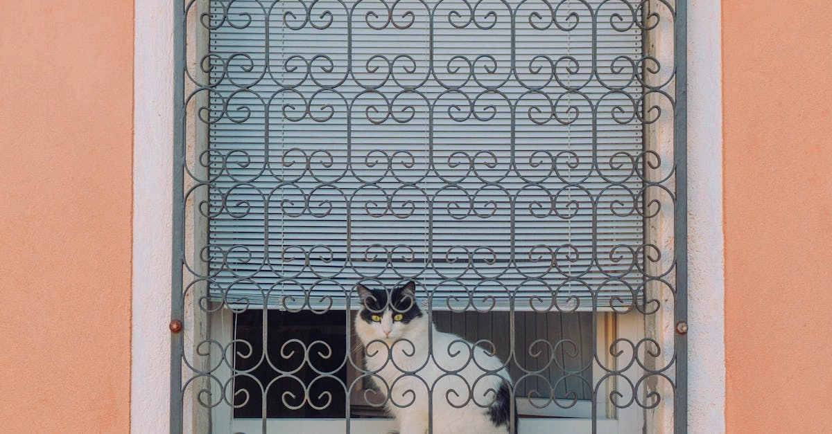 Декоративная эстетика олимпийской символики в стеклянном искусстве